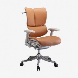 Ergonomiczny Fotel ERGOFLY Fly L-06 Brown Brosco