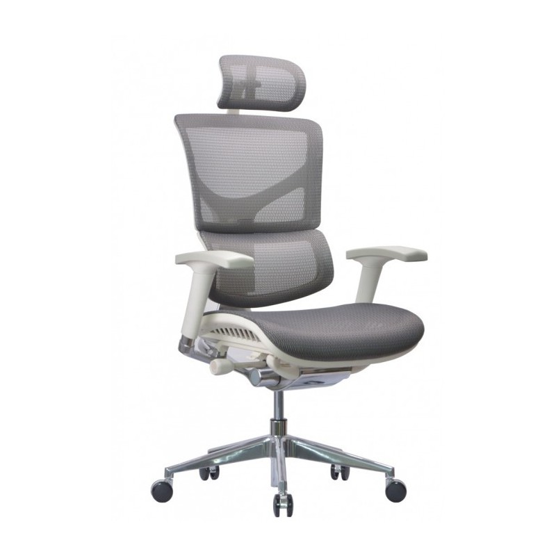 Ergonomiczny Fotel  ERGOFLY SAIL Alum G T-06 White Brosco