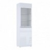 Witryna TACJUS TXCV711R-C605 Forte